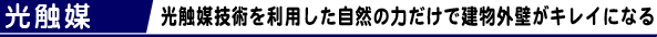光触媒